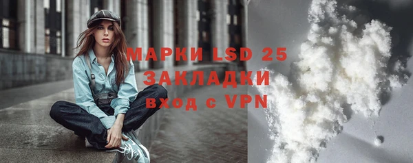 твердый Володарск