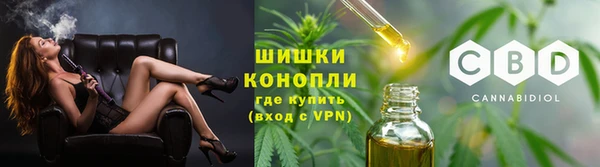твердый Володарск